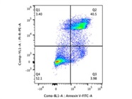 Useful Annexin V/PI Kit for Examining and Identifying Apoptotic Cells