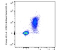 Antibody Stains CD23 Very Well