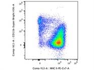 Antibody Stains CD11b Very Well