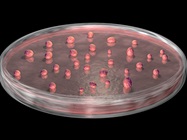 3D Cellular Models in Disease Modeling and Drug Discovery
