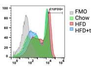 Good Assay to Detect the Level of Senescent Cells