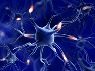 Preparing for your Single Cell and Spatial Neuroscience Journey