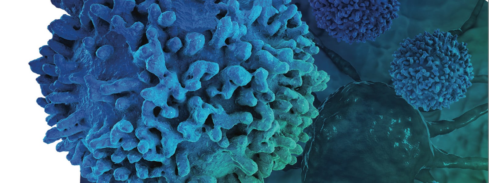  Accelerating Cancer Immune Cell Therapies with Single Cell and Spatial Resolution