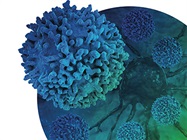 Accelerating Cancer Immune Cell Therapies with Single Cell and Spatial Resolution