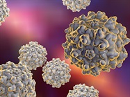DNA Delivery Systems for Gene Therapies