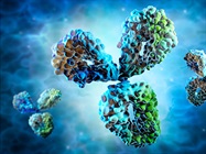 Unlocking Antibody Discovery and Immunotherapy with Live Cell Analysis