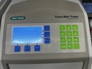 Old but Reliable Blot Transfer Equipment