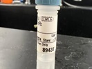 Time Course Effect of Chemoattractant on IKKBeta Phosphorylation