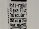 Great Conjugated 2nd Antibody for Flow Cytometry