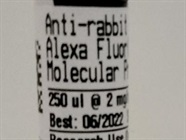 Great Conjugated 2nd Antibody for Flow Cytometry