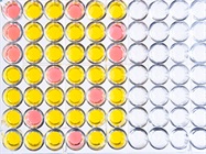 Optimizing ELISA Sample Prep