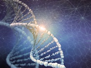 Infographic: Introduction to Amplicon Sequencing
