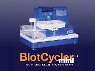 Learn how to make a perfect blot with BlotCycler