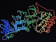Choosing the Strategy and Methods for Charge Variant Characterization in Biotherapeutics