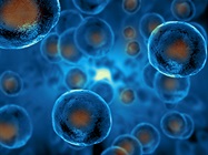 Find Cell-Based Assays for Your Research