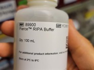 Good Buffer to Lyse Cells for Protein Detection