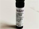 Great CD38 Antibody from BioLegend