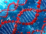 Chromium Single Cell Gene Expression Flex