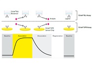 Principles and Applications of Label-free Detection