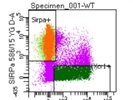 Good SIRPa Antibody for Flow Cytometry
