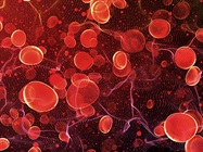 Immunophenotyping by Flow Cytometry