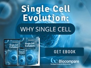 Single Cell Evolution: Why Single Cell