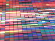 Single-Cell Sequencing: Best Practices and Advice for Sample Prep