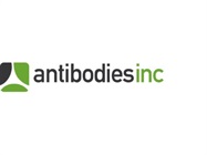 NOW AVAILABLE! Fluorophore Conjugated Antibodies validated on brain tissue