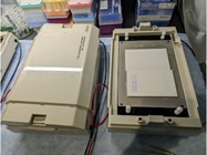 True Semi-Dry Transfer for Immunoblot