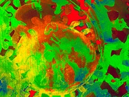 Manufacturing Biotherapeutics with Living Cells