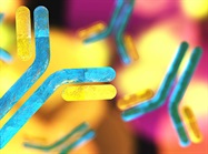 Proteogenomics in Neoantigen Discovery