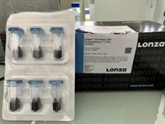 Cuvettes for Medium-Large Quantity Cell Electroporation