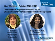 Choosing the Strategy and Methods for Charge Variant Characterization in Biotherapeutics