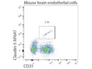 Average Antibody for Flow Cytometry From Novus Biologicals