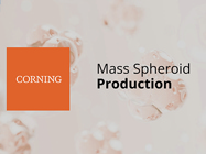 Bench Tips Video: Mass Spheroid Production