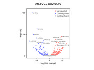 Reasonably Priced RNA Sequencing With Excellent Support From Novogene