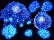 Cytokine Quantitation: Challenges and Opportunities