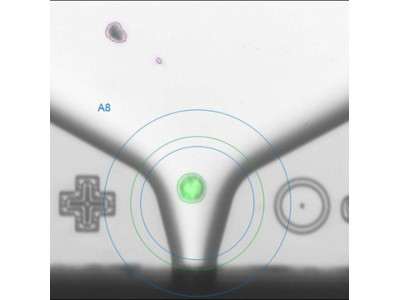Great Equipment Used for the Production of Moss-Derived ...
