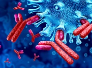 Antibody-Drug Conjugates (ADCs): The Magic Bullets for Treatment