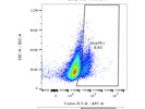 Easy-to-Optimize Antibody for Surface Staining of HSP70