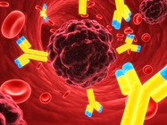 The New Era of Bispecific Antibodies for Cancer Immunotherapy