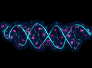 IVT mRNA in Regenerative Medicine