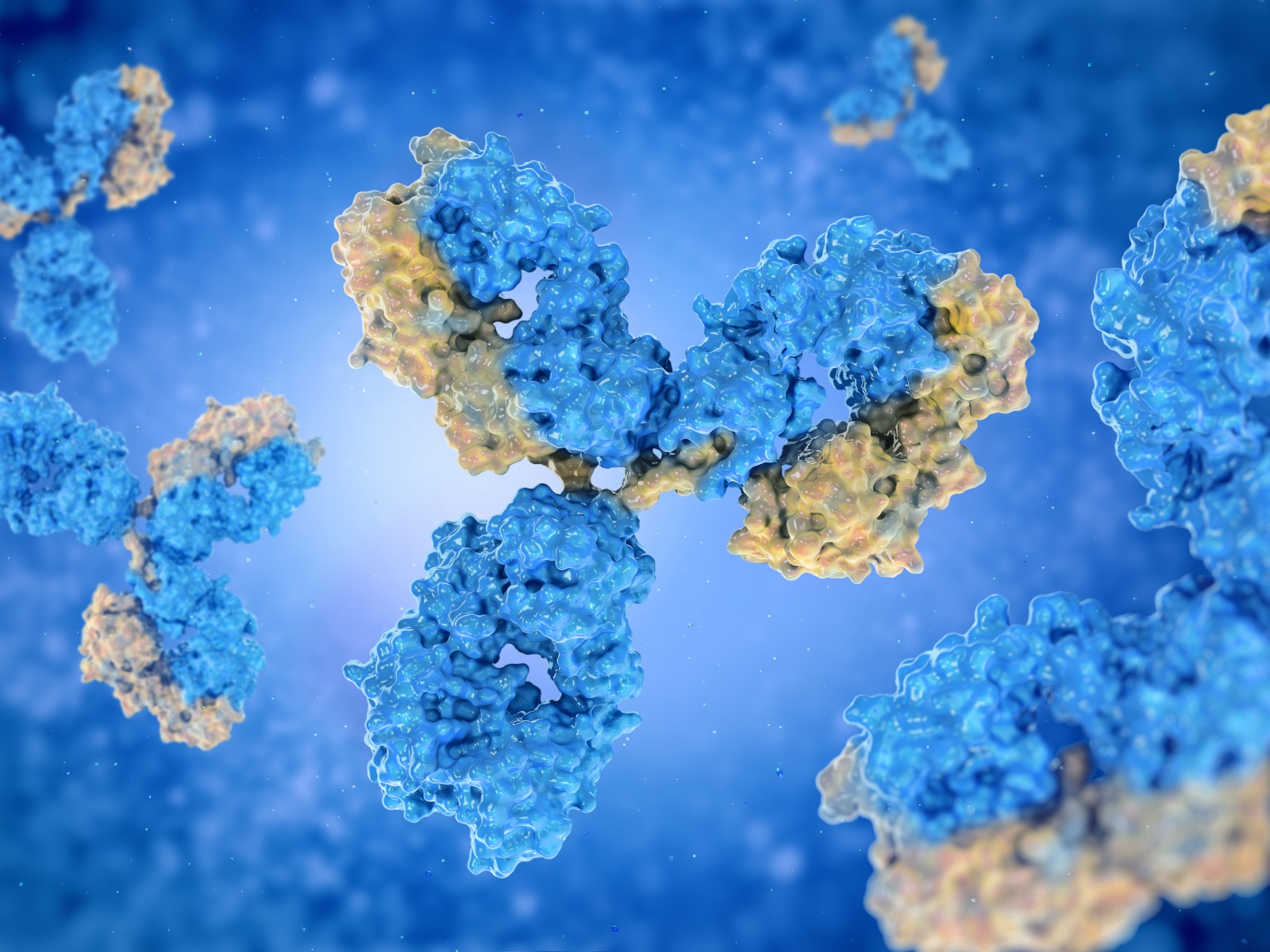  Using Single B Technology to Develop Lead Antibody Molecules On GPCR Targets