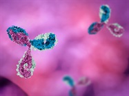 Integrated Analytical Platform to Support Biologic Drug Discovery and Beyond