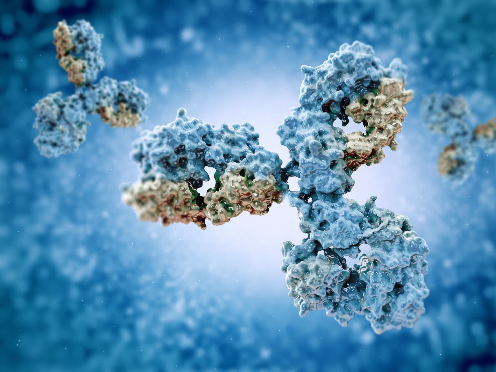  How Biologics Teams use Dynamic Light Scattering to Identify Leading Candidates