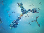 Membrane Proteins Screening Array AB5000