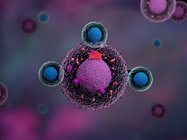 In-Line Monitoring of Culture Medium Using Live Cell Metabolic Analyzer