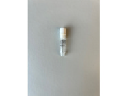 Gamma H2A.X Antibody for Western blot analysis From Abcam