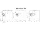 Great Antibody for VCAM-1 Staining From BioLegend
