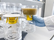 Solutions for Drama-Free mAb Development